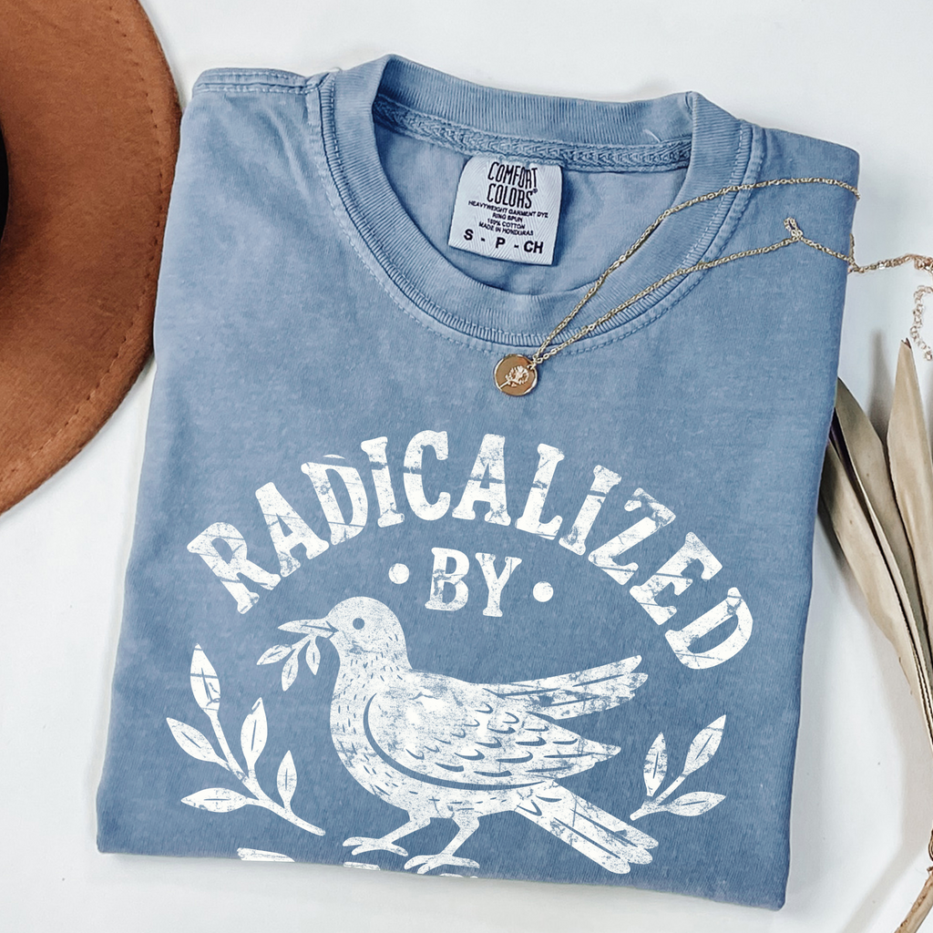 Radicalized By Basic Decency T-shirt