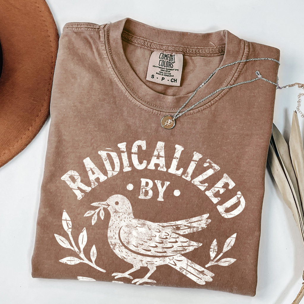 Radicalized By Basic Decency T-shirt