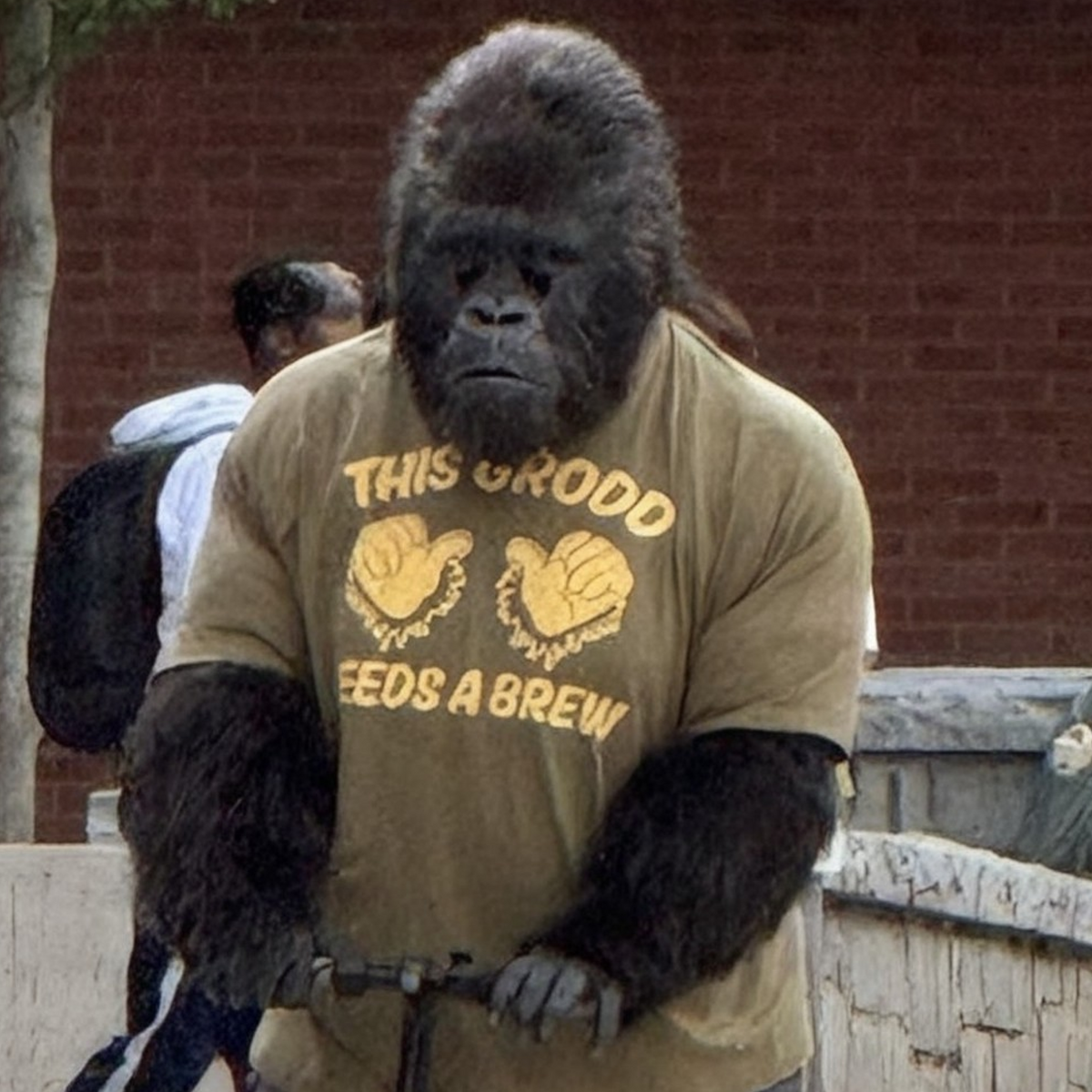 Gorilla Grodd "This Grodd Needs A Brew" Campus Shirt